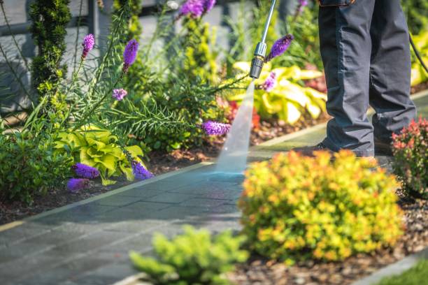  Niantic, CT Pressure Washing Pros